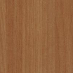 1329 N Орех боссеа