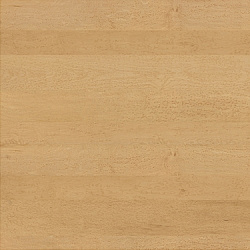 81b815ed898872813d793578d3cdaaf6