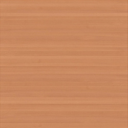 w-006 beech european